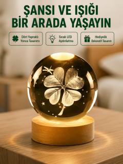 Yonca Figürlü Cam Küre USB Işıklı Ahşap Tabanlı Dekoratif Masa Lambası