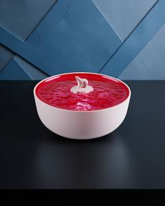Z5 Arktik Okyanus Temalı Bt Kablosuz Hoparlör - Pembe
